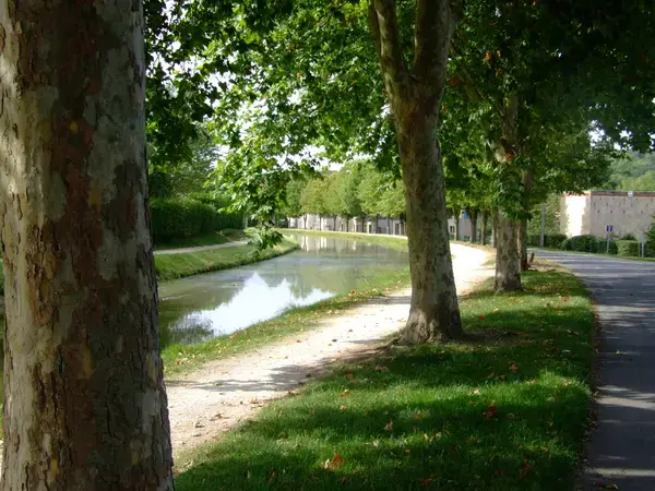 Abri Piscine Prix Installateur abri de piscine Saint-Amand-Montrond